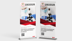 Inicio banner unasur